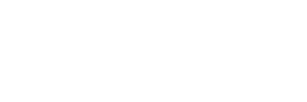 Logo Footer